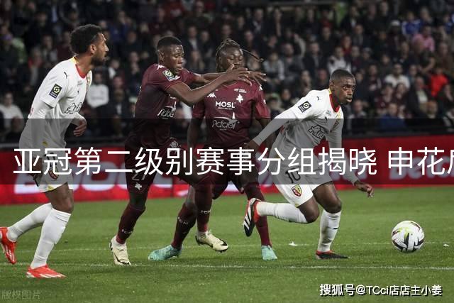 亚冠第二级别赛事分组揭晓 申花肩负打破中超出线魔咒重任