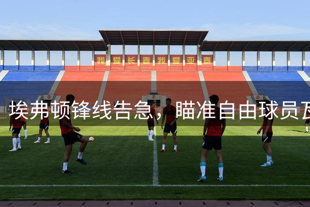 埃弗顿锋线告急，瞄准自由球员瓦尔迪