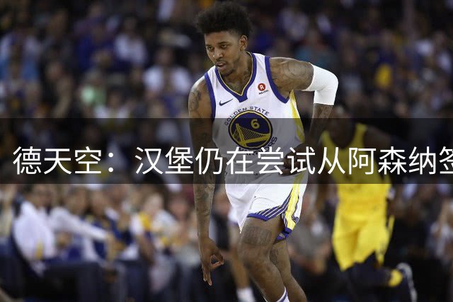 德天空：汉堡仍在尝试从阿森纳签下法比奥-维埃拉